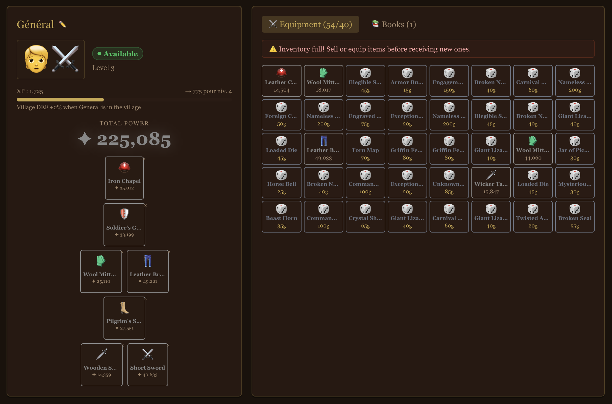General panel with equipment slots, items and XP progression